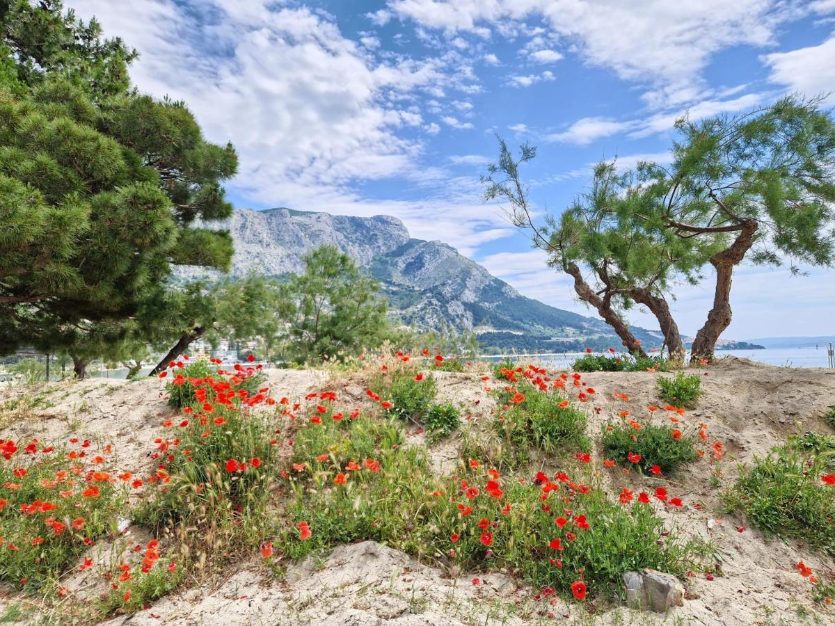 Apartman River Breeze Omiš Buitenkant foto